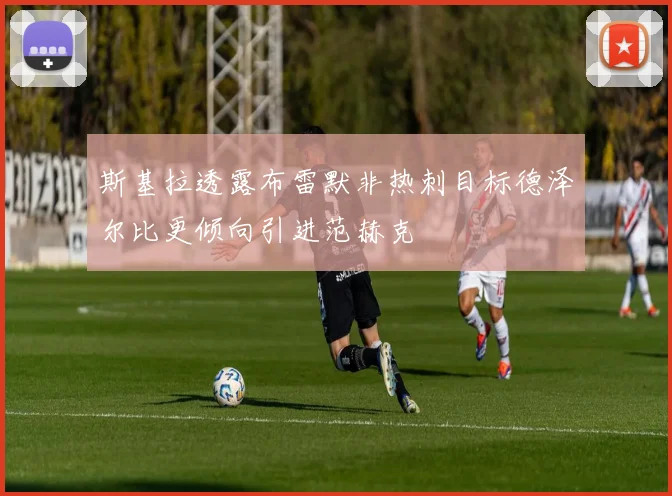 斯基拉透露布雷默非热刺目标德泽尔比更倾向引进范赫克