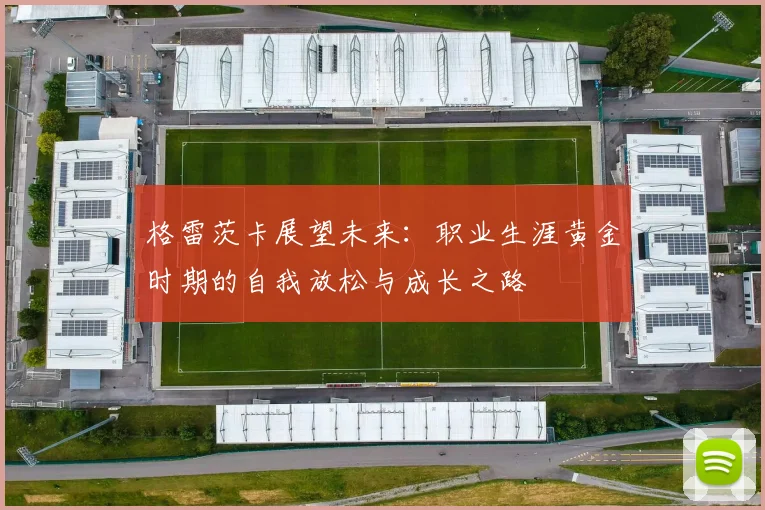 格雷茨卡展望未来：职业生涯黄金时期的自我放松与成长之路